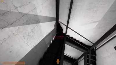 Best Therapy Dog On Site