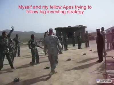 Apes trying to follow investing strategy