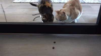 So close yet so far...