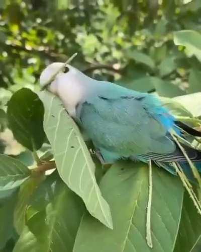 How Handy Can Your Mouth Be!