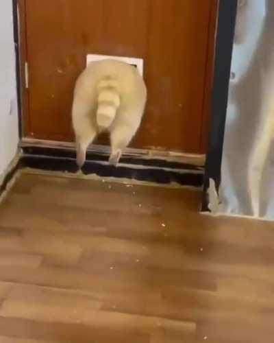 Ещё любитель фитнеса