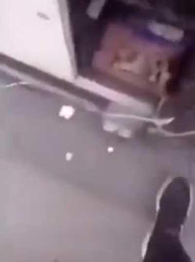 The fact that they both said oops