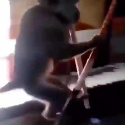 Monke, The alchohol lover