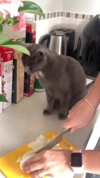 Why is the air so spicy