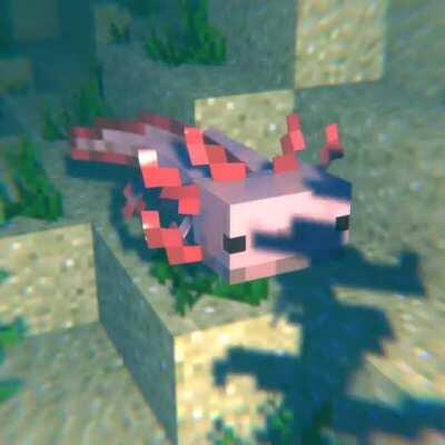 Hello, i made a small animation with the upcoming axolotl mob in blender. Enjoy.
