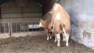 Hate when this happens