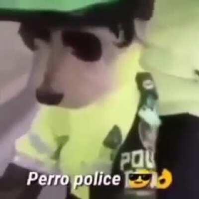 Thot police