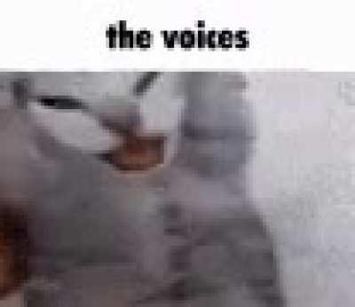 no i will not pour water on the furnace