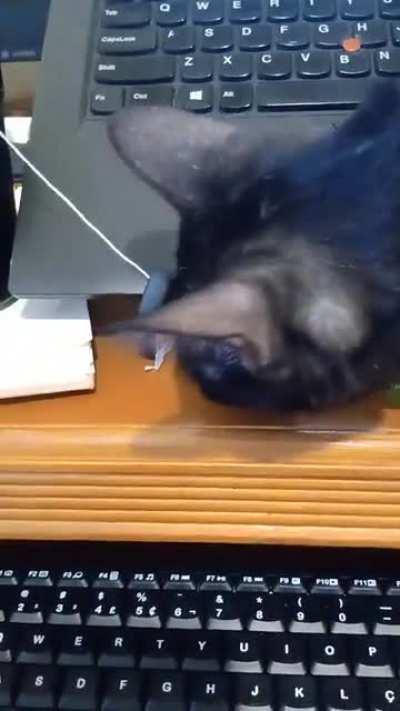 I hoped to have something to show you guys, but it went very wrong