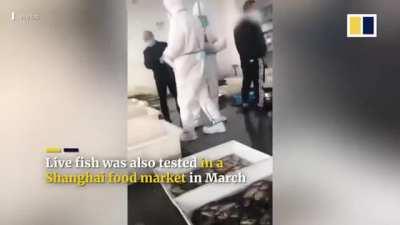 The Chinese has stepped up their testing to the next fucking level!