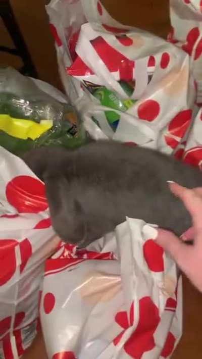 Here..... let me just help you put the shopping away.... I’ll get the bag with the spinach.