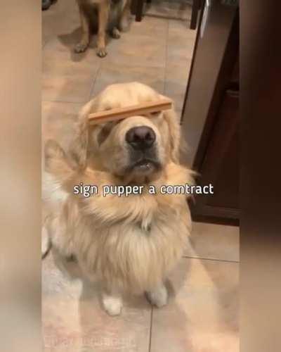 A subtle balancing act