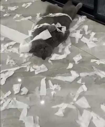 The perfect rest after the insidious destroyed roll!