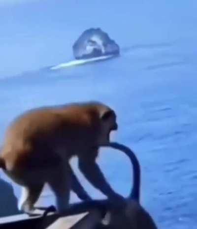 Hey, hey, let me ask you this. Have you ever tossed a prostitute off a bridge?