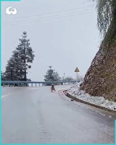 All Wheel Drive, With Summer Tires -