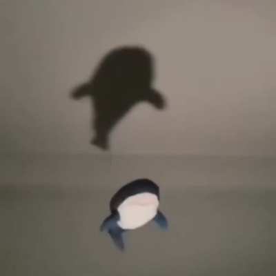 losercity projectile