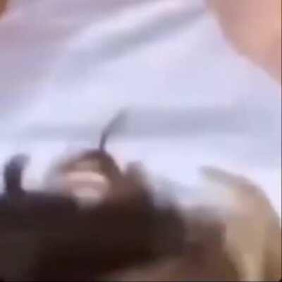 I don't want to be horny anymore, i just want to be drogadicto sobre ruedas