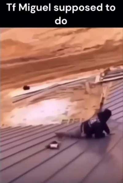 Tf Miguel supposed to do(heil spez)