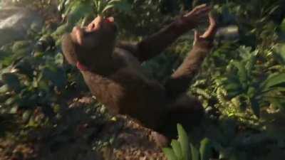 Running a 170% Great Ape Power team