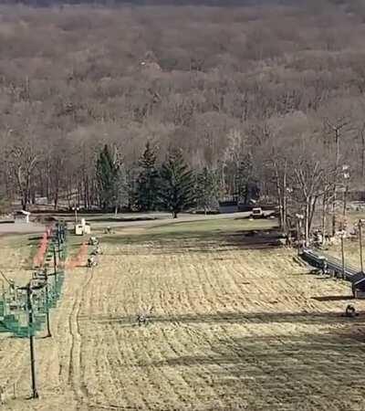 Thought it was soaring over the trees.