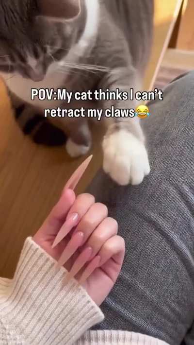 Cat shows patience teaching human how to retract claws