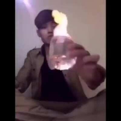 drink fire yes [Volume Warning]