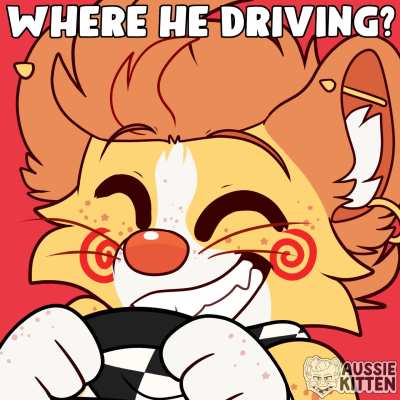 furry🚗irl