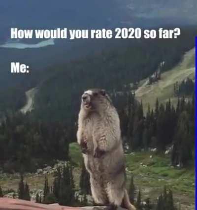 Another lockdown for Dublin... Excuse me, just a moment...