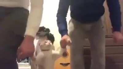 Girişe bak amk wizbsidbsj