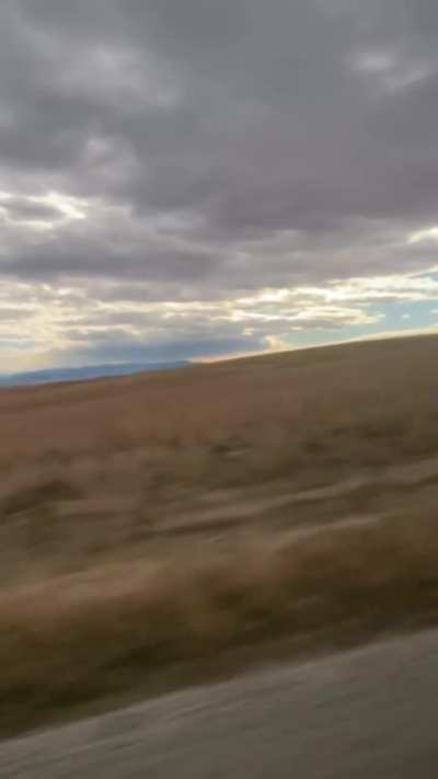 Michelle Pfeiffer : Ant-Man and the Wasp