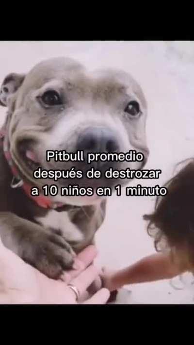 se llama princesita🥰🥰