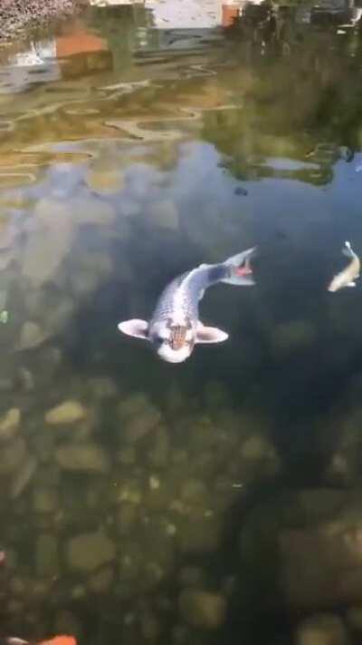 Found this, and thought I'll share :-)