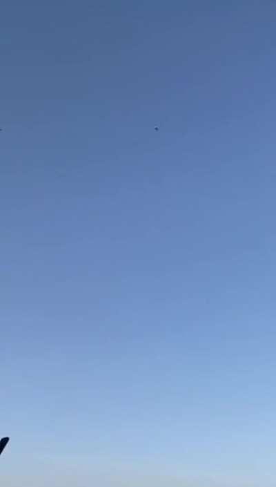 Leave the birds alone