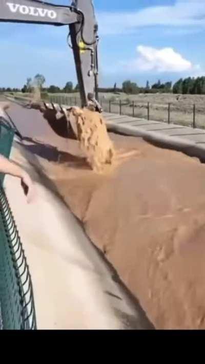 Mi pescado en termino medio