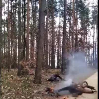 These guys tried to break a tree!