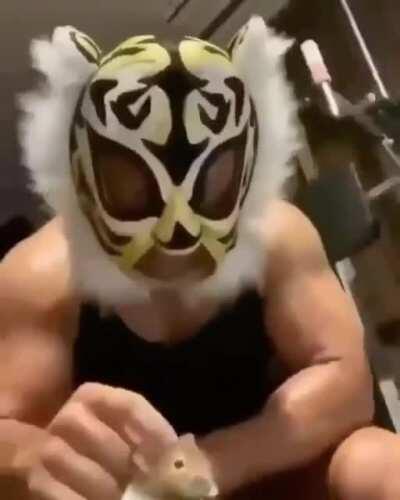 My hamster, Harold and I, getting ready to evict a single mother of 3 because she was 0.000089 milliseconds late on paying her rent.