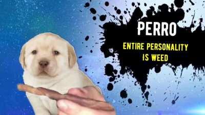 Le dated meme has finally arrived