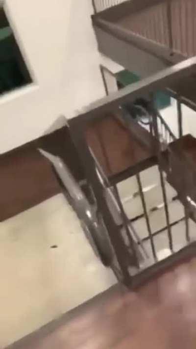 HMB while I slide down this bannister.