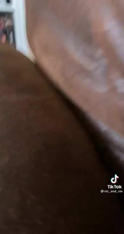 The new 173 model looks lit