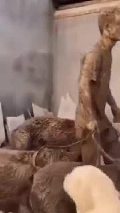 Looks like it was one hell of a walk😂