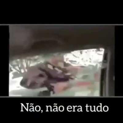 Tinha q ser do norte🙄👍