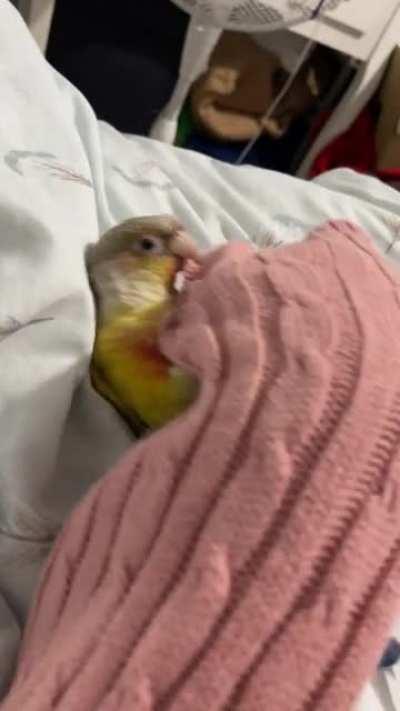 his fave hobby is wrestling