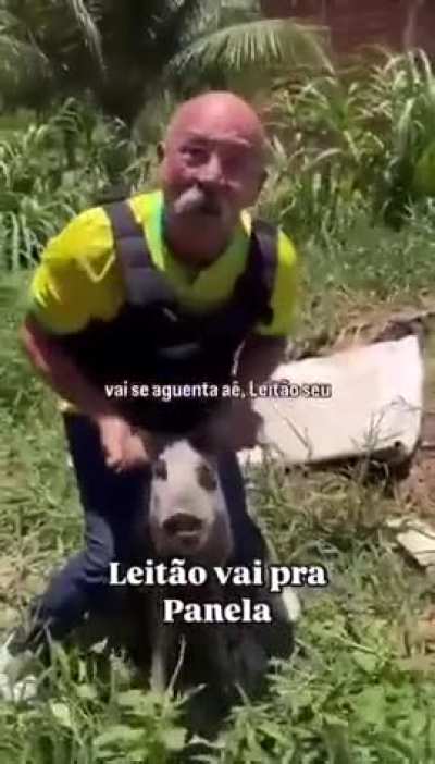 Vereador Inspetor Alberto maltratando um porco pra fazer vídeo
