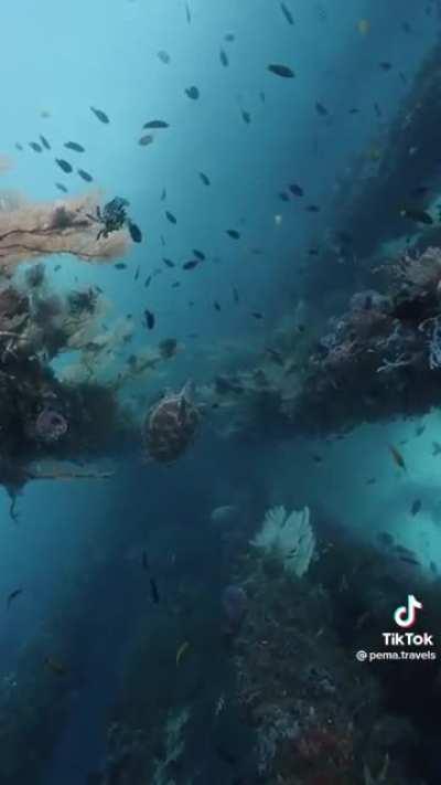 Gorgeous but I would still panic