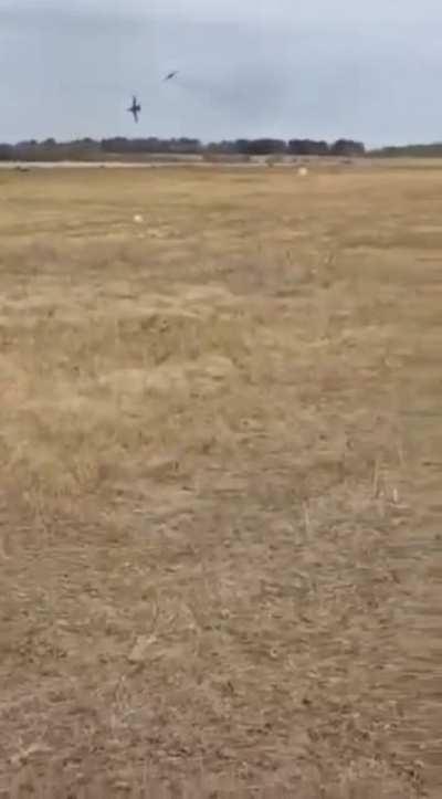 Drone age update for Russia in Ukraine?????