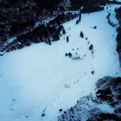 My portfolio for the whole time I‘ve had it. And yes, that‘s me, very objectively a very fucken retard. Hold my banana and watch this!