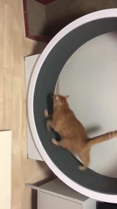 Yeah, that's pretty accurate.