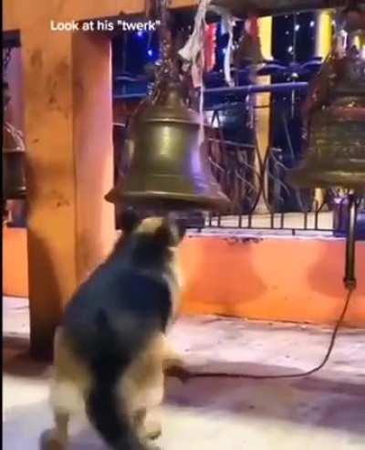 Goodest bell boy
