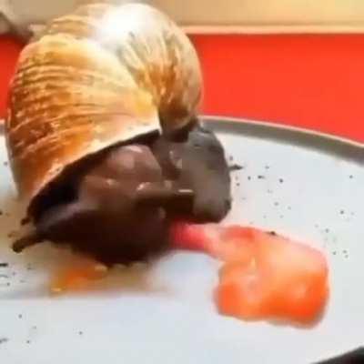 this is, without a doubt,