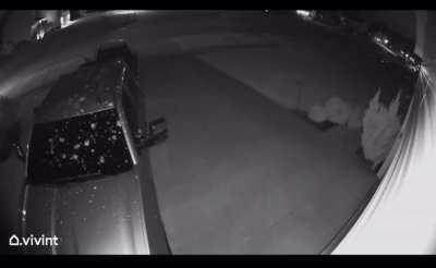 A gaggle of geese did a drive by on my truck at 12:36 am.